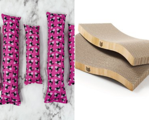 Our Cat is Spoiled! 😻😽❤️ cover photo collage