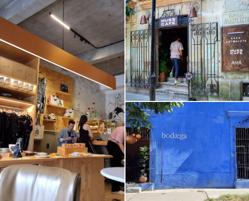 oaxaca(n) you believe it! 🌵 cover photo collage