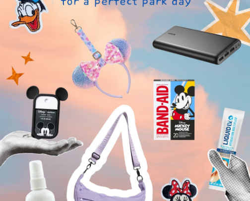 What’s in my Disney bag cover photo collage