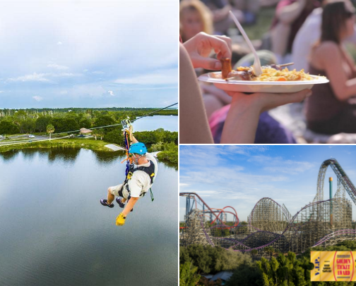 Fun Day in Tampa cover photo collage