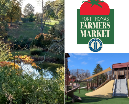 Things To Do in Northern Kentucky/Cincinnati cover photo collage