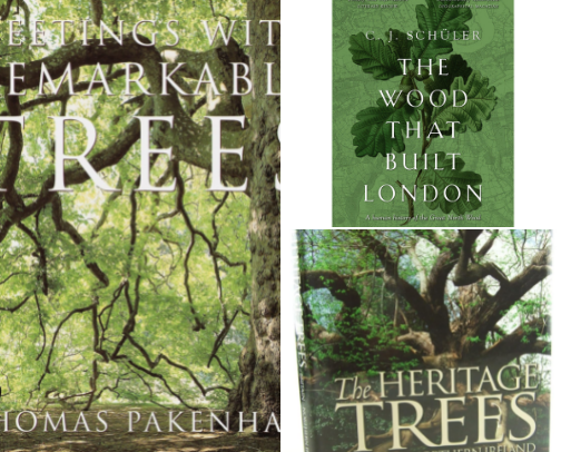 My Go-To Books About Trees For Nature Lovers cover photo collage