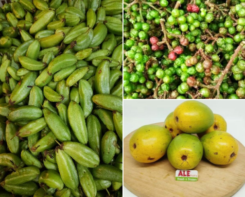 Unlocking Indonesia’s Wild Edibles: Exotic Fruits You’ve Never Heard Of cover photo collage
