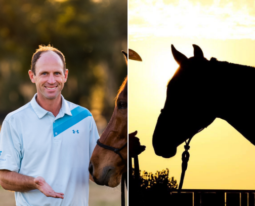 Horse books cover photo collage