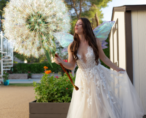 My Giant Dandelion Wand cover photo collage
