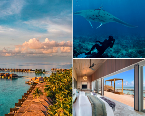 Vacation trip to Maldives 🌅⛵⛱️ cover photo collage