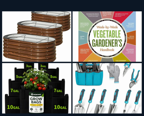 The Perfect Garden Setup for Beginners cover photo collage