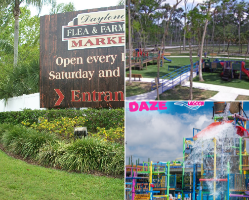 Places You Must Visit When You Come To Florida! cover photo collage