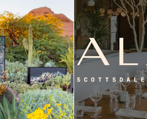 Desert Dreams: The Ultimate Arizona To-Do List cover photo collage