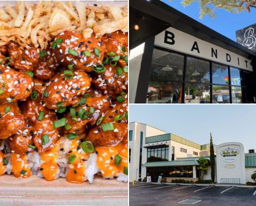 Places I Love in St. Petersburg cover photo collage