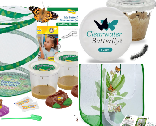 Educational activities you can do with your kids. Adults love it too. cover photo collage