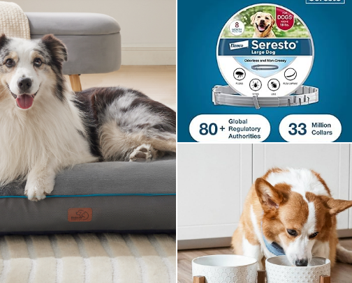 Husky Dog Owner Essentials for Home and Travel cover photo collage