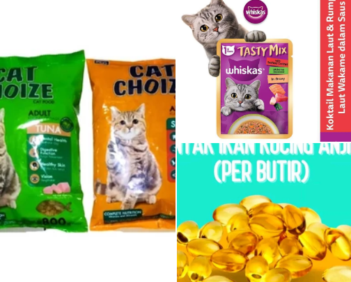 Binatang peliharaan cover photo collage