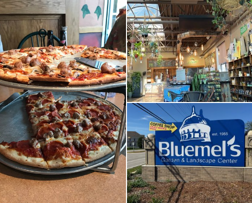 My top Greendale recs cover photo collage