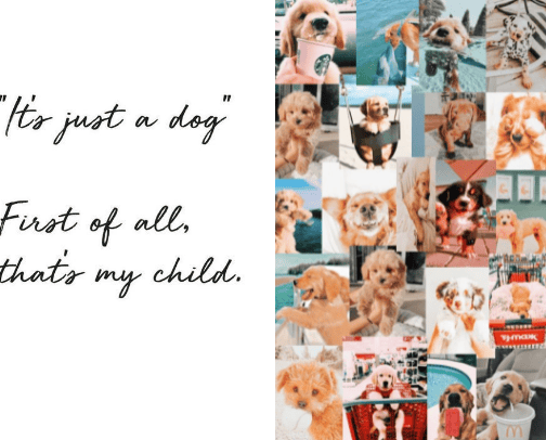Fur Baby 🐾 cover photo collage