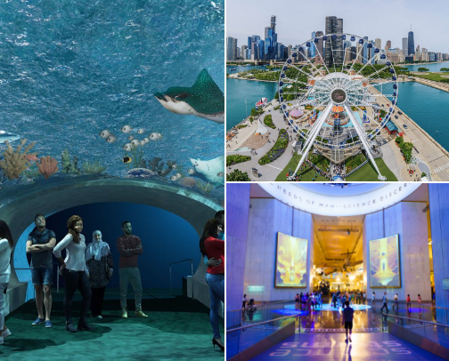Fun in the windy city cover photo collage