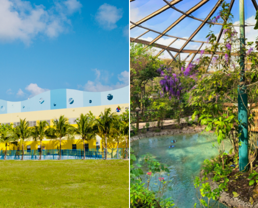 South Florida Family Outings cover photo collage