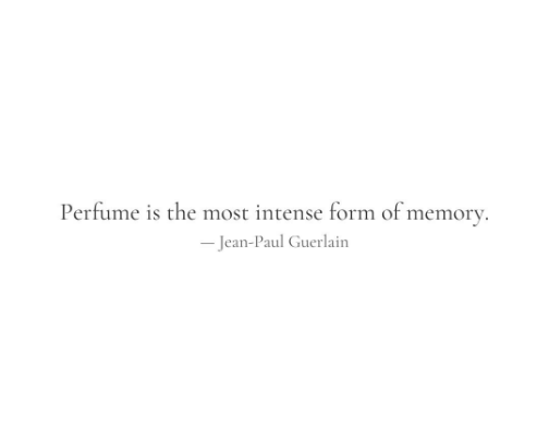 Find Your Signature Scent cover photo collage