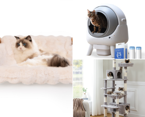 Cat Needs and Wants! 🐈‍⬛🐾 cover photo collage