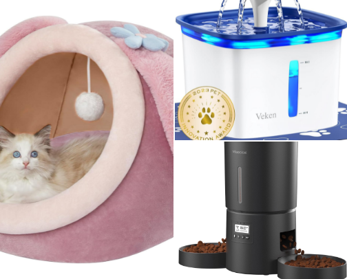 Cat Needs and Wants! 🐈‍⬛🐾 cover photo collage