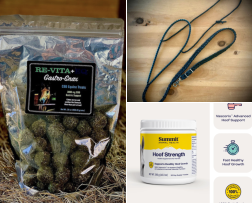 Horse Products I recommend cover photo collage