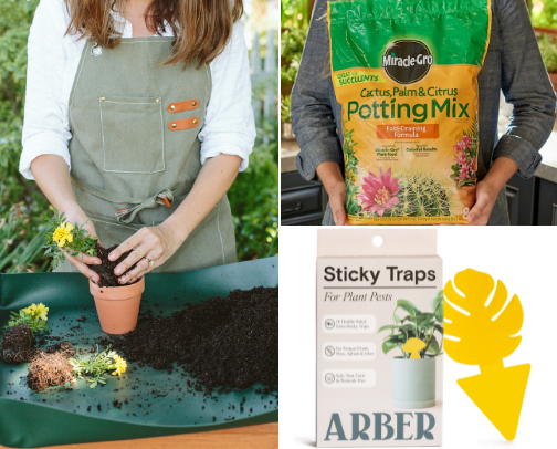 Grow Like a Pro: Green Thumb Essentials cover photo collage