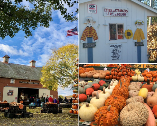 Best Fall Activities in Ohio cover photo collage
