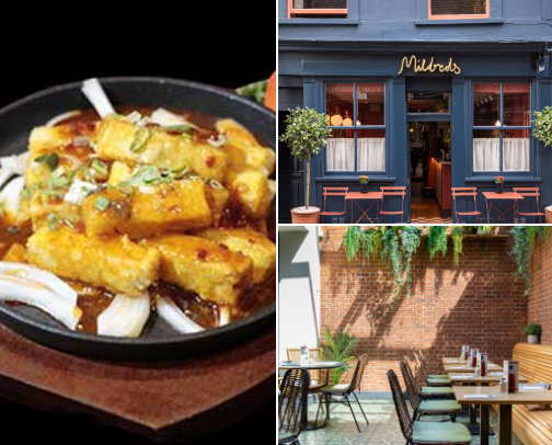 The Best Vegan Spots in London 🌱 cover photo collage