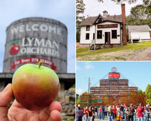 What I’m loving this September cover photo collage