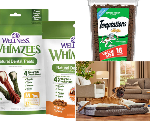 Dog & Cat Essentials cover photo collage