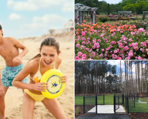 Fun Things to Do in Tidewater cover photo collage