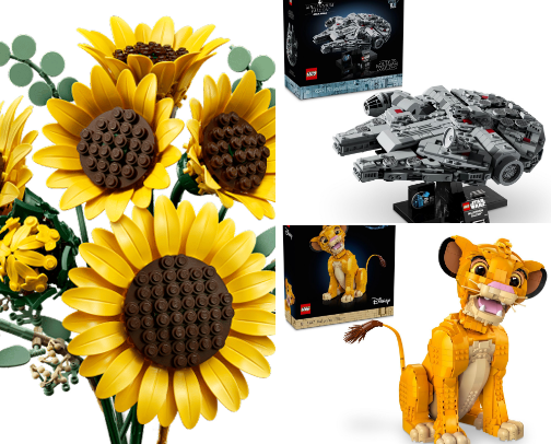 The LEGO Hall of Fame (according to me!) cover photo collage