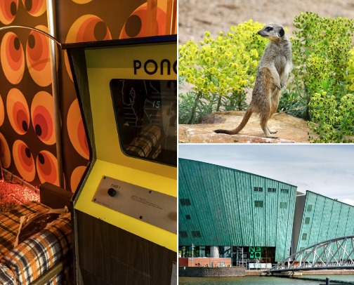 Weekend wins: family friendly spots we love cover photo collage