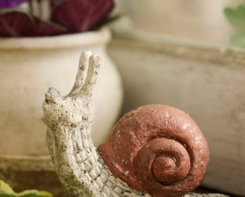 🐞Garden & Porch Finds under $25🌿 cover photo collage