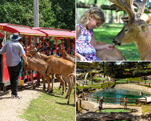 Things to do Wisconsin Dells, WI cover photo collage
