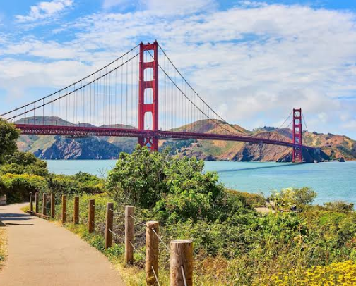 SF Walking Tours with Coffee cover photo collage