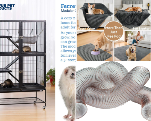 Inside The Ferrets Den: Setup & Free-Play Finds cover photo collage