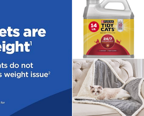Essential Cat & Clean Home Must Haves cover photo collage