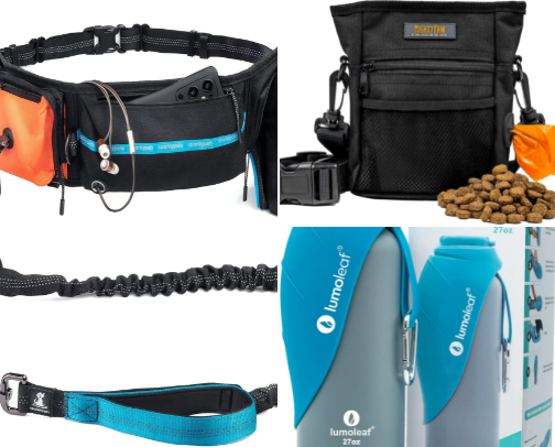 Nature Walks with Your Fur Baby cover photo collage