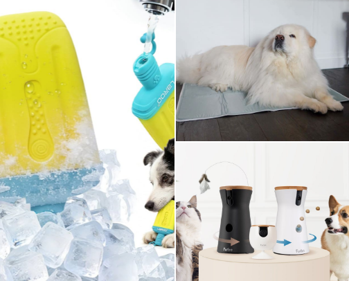 Things I Bought for My Dogs That They Actually Love cover photo collage