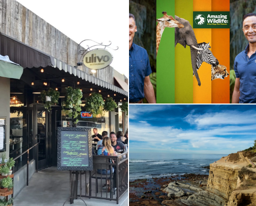 My San Diego Hit List: Where to Go & What to Do cover photo collage