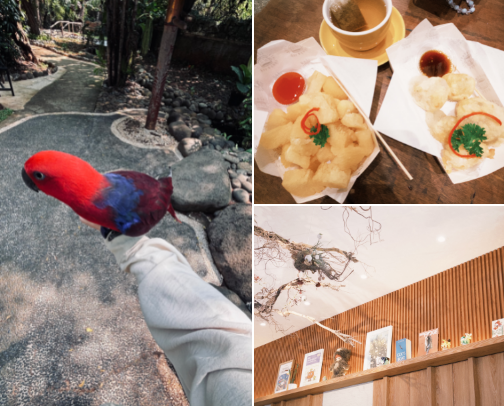 Place to Go🗺️ cover photo collage