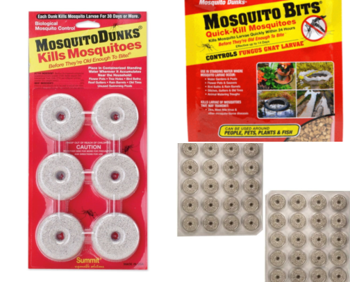 How I Stopped Breeding Mosquitoes in My Own Yard Without Realizing It cover photo collage