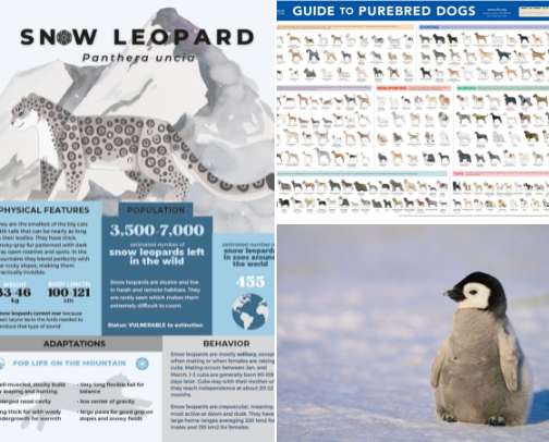 My Favorite Animals List cover photo collage