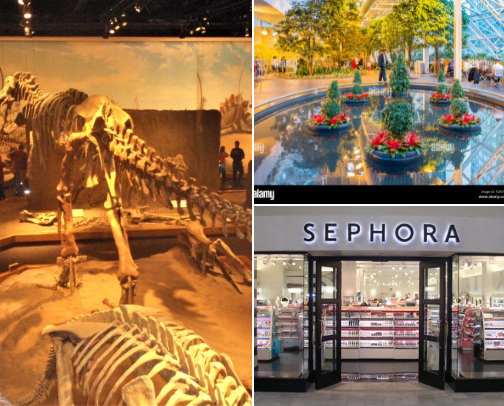 Places and Stores cover photo collage