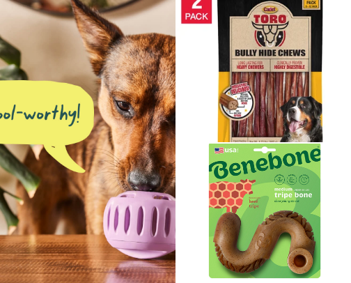 How I Keep My High Energy Dogs Distracted 🤣🫣 cover photo collage