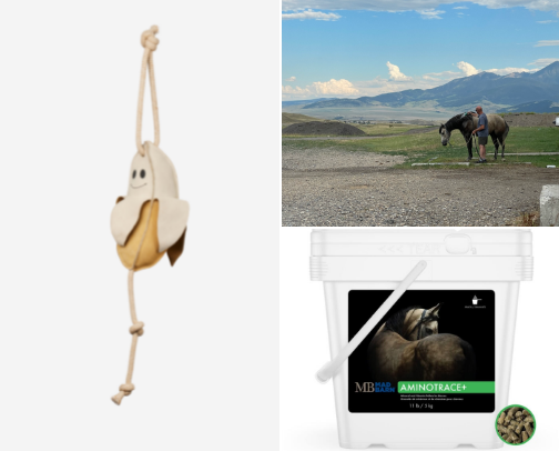 Horse Girl Must Haves cover photo collage