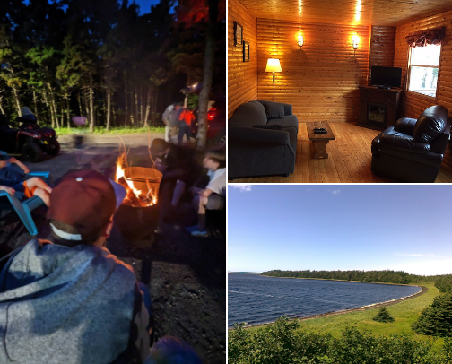 Things to do in Frenchman's Cove, Newfoundland cover photo collage