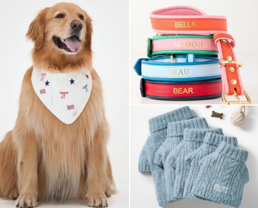 Stylish Pup Wardrobe cover photo collage