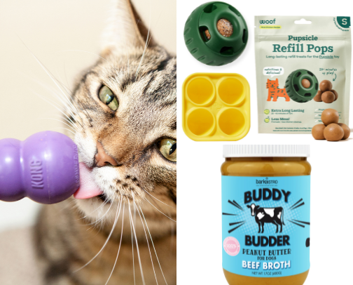 School Therapy dog Essentials cover photo collage